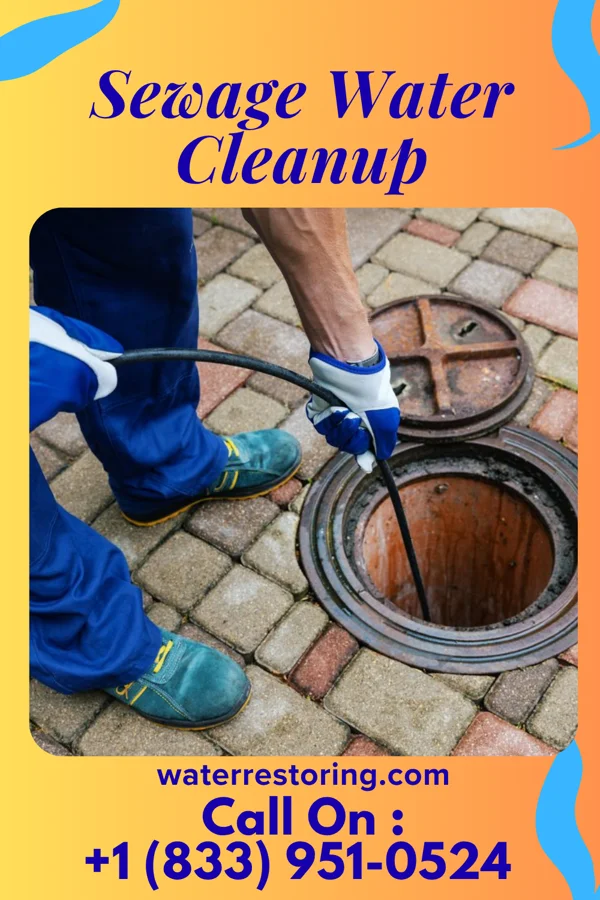 Sewage Water Cleanup in University Heights, IA