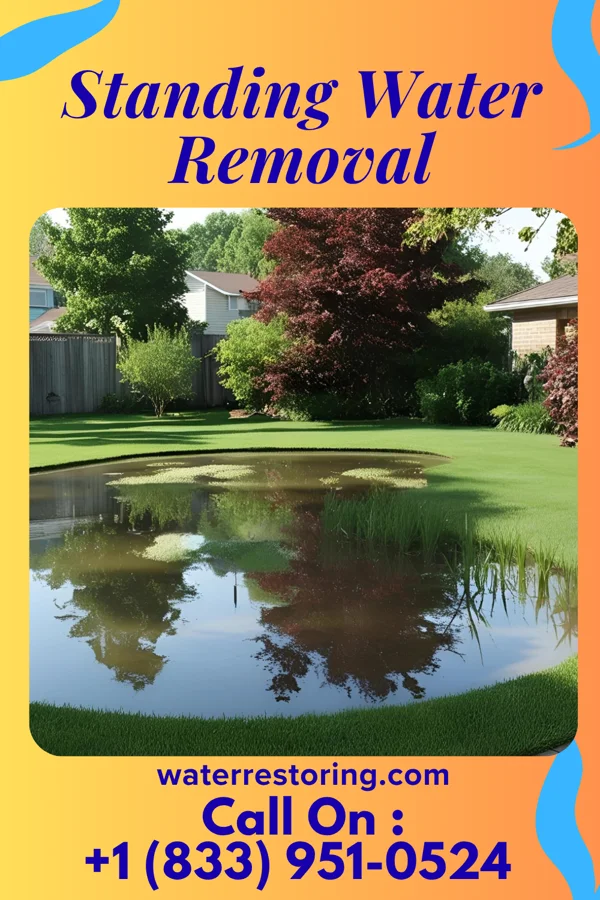 Standing Water Removal in University Heights, IA